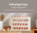 4 Layer Slide Egg Storage Box