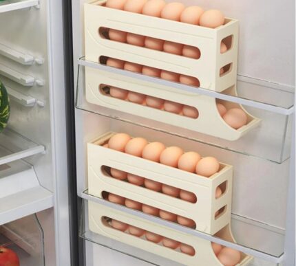 4 Layer Slide Egg Storage Box